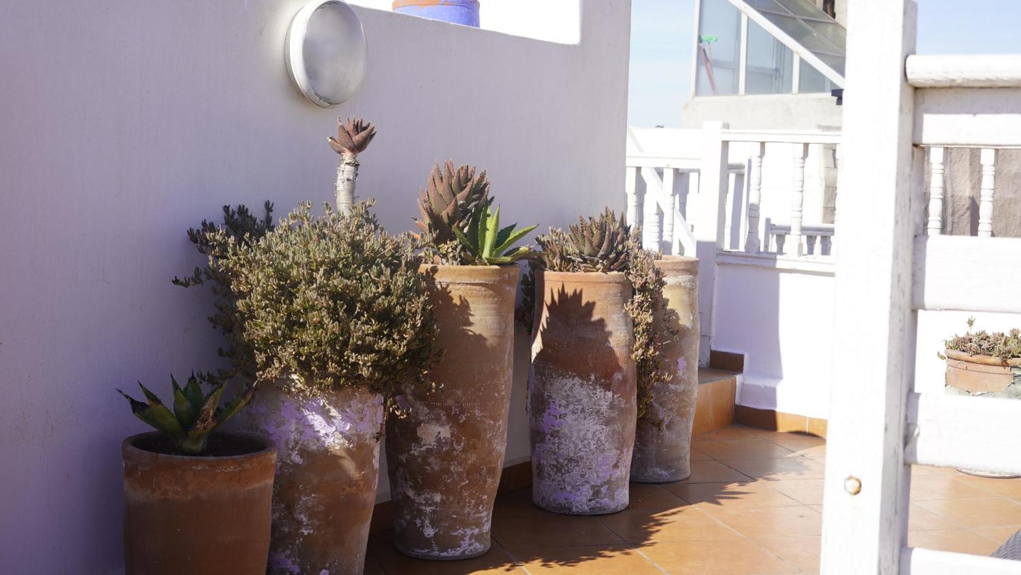 Dar Adul Hotell Essaouira Exteriör bild
